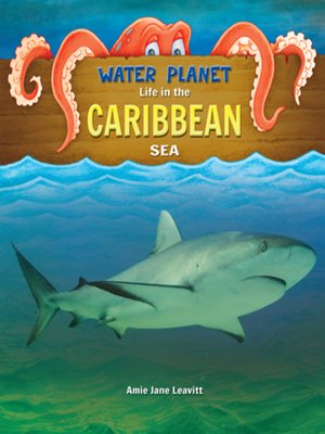 cover image of Caribbean